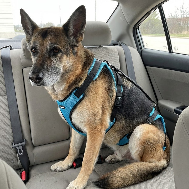 Review by Michael R.